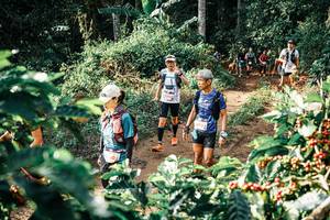 BIB: 
                            <button type="button" onclick="openModal(25852826)" class="btn btn-primary btn-sm float-right btn-popup" data-toggle="modal" data-target=".modal-high-quality">
                        <i class="fas fa-shopping-cart"></i> Add to Cart
                    </button>
                                            <button type="button" onclick="isThisMe(25852826, true)" class="btn btn-success btn-sm float-right btn-popup btn-isme hidden" data-toggle="tooltip" data-placement="bottom" title="นี่คือรูปของคุณใช่ไหม คลิกที่นี่เพื่อเอาเข้าอัลบั้ม">
                        <i class="fas fa-plus"></i> Add to album
                    </button>
                    <button type="button" onclick="isThisMe(25852826, false)" class="btn btn-warning btn-sm float-right btn-popup btn-isnotme hidden">
                        <i class="fas fa-ban"></i> Remove from album
                    </button>